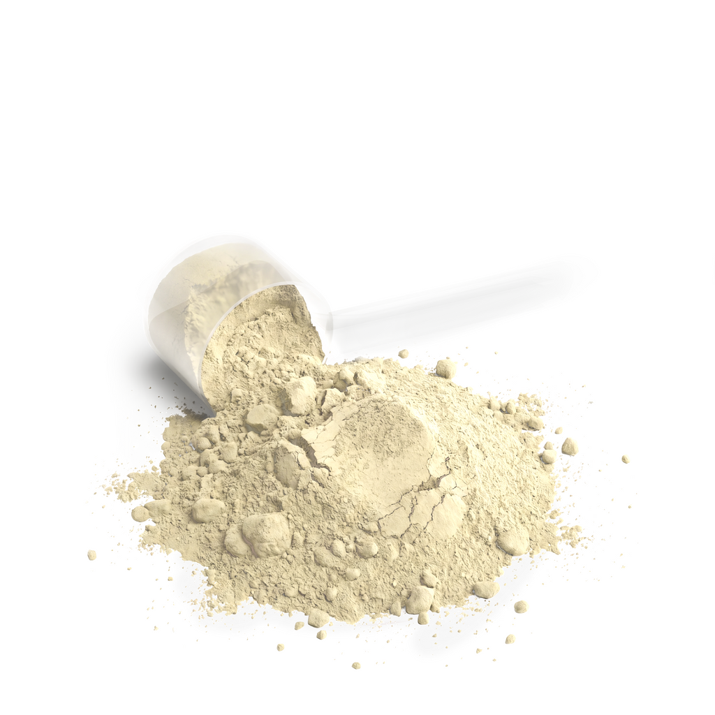 Milieu Performance Whey Protein Blend (Vanilla)
